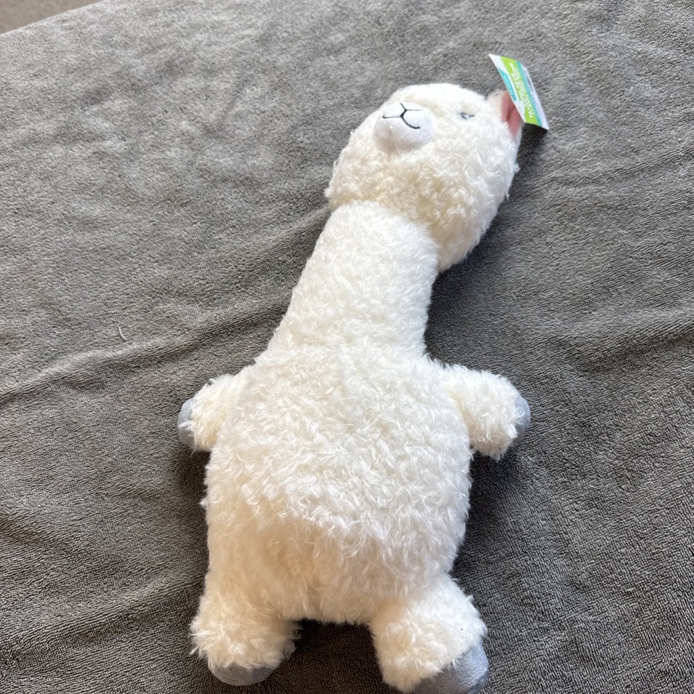 Frisco Long Neck Plush Squeaking Llama Dog Toy NWT Chewy Exclusive White Large